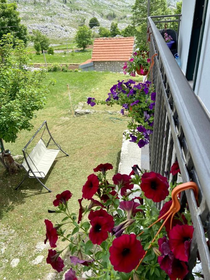 Guest House Markovic Lovcen เซทินเจ ภายนอก รูปภาพ