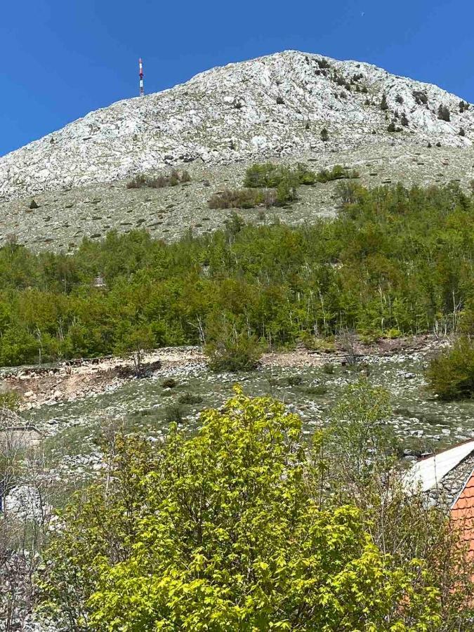Guest House Markovic Lovcen เซทินเจ ภายนอก รูปภาพ