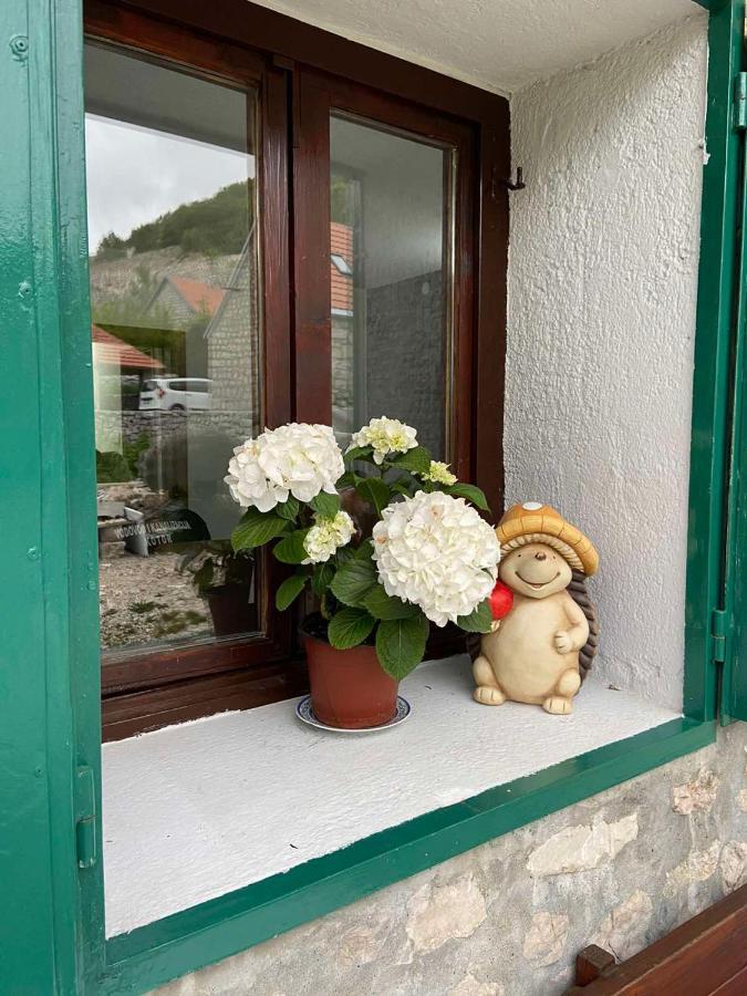 Guest House Markovic Lovcen เซทินเจ ภายนอก รูปภาพ